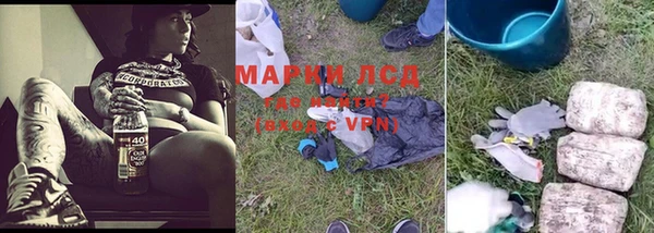 ГАЛЛЮЦИНОГЕННЫЕ ГРИБЫ Абдулино
