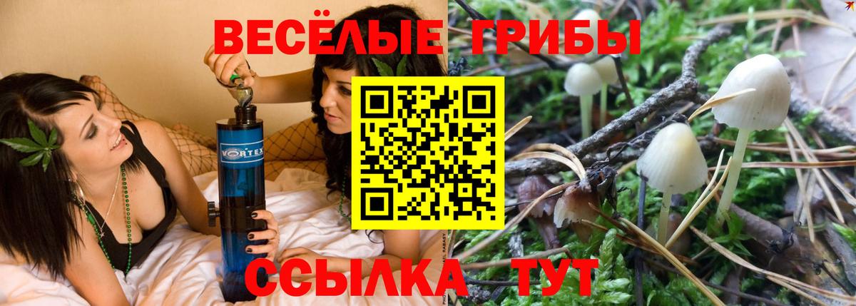 Галлюциногенные грибы Magic Shrooms Хабаровск